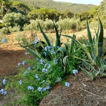 Elbadamare - Casa Pergola Holiday home *