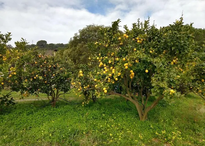 Elbadamare - Casa Pergola *