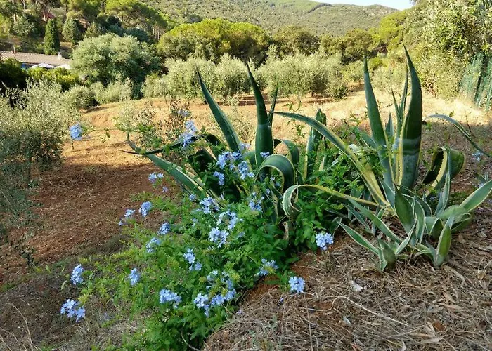 Elbadamare - Casa Pergola Feriehus *
