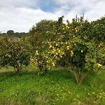 Elbadamare - Casa Pergola *