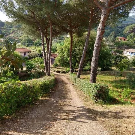 Casa vacanze Elbadamare - Casa Pergola
