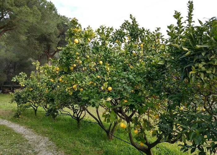 Elbadamare - Casa Pergola *